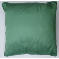 Chinese kussen met groene zijde